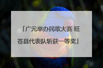 广元举办民歌大赛 旺苍县代表队斩获一等奖
