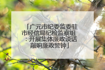 广元市纪委监委驻市经信局纪检监察组：开展集体廉政谈话 敲响廉政警钟