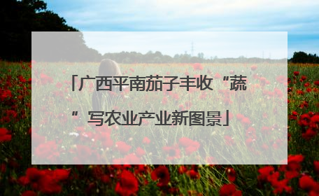广西平南茄子丰收“蔬”写农业产业新图景