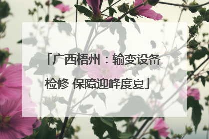 广西梧州：输变设备检修 保障迎峰度夏