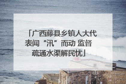 广西藤县乡镇人大代表闻“汛”而动 监督疏通水渠解民忧