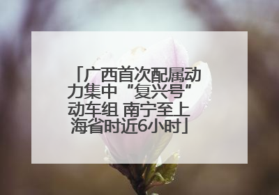广西首次配属动力集中“复兴号”动车组 南宁至上海省时近6小时