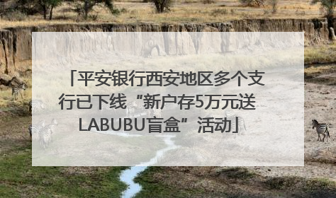 平安银行西安地区多个支行已下线“新户存5万元送LABUBU盲盒”活动