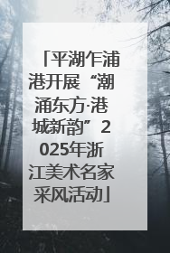 平湖乍浦港开展“潮涌东方·港城新韵”2025年浙江美术名家采风活动
