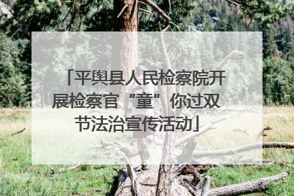 平舆县人民检察院开展检察官“童”你过双节法治宣传活动