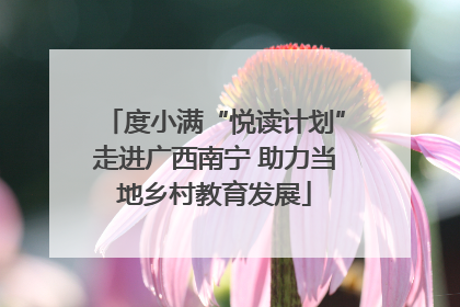 度小满“悦读计划”走进广西南宁 助力当地乡村教育发展