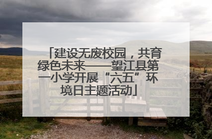 建设无废校园，共育绿色未来——望江县第一小学开展“六五”环境日主题活动