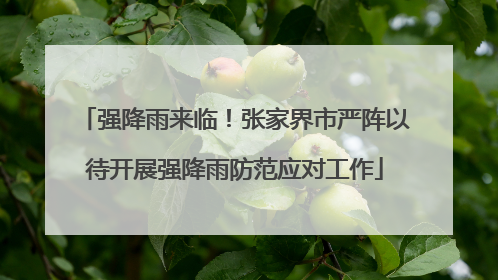 强降雨来临！张家界市严阵以待开展强降雨防范应对工作