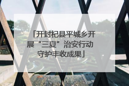 开封杞县平城乡开展“三夏”治安行动 守护丰收成果