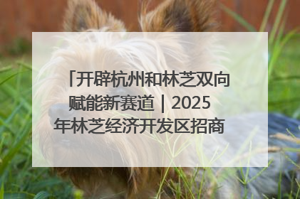 开辟杭州和林芝双向赋能新赛道｜2025年林芝经济开发区招商引资（杭州）推介展销活动在杭举办