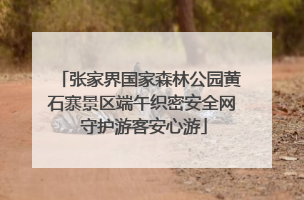 张家界国家森林公园黄石寨景区端午织密安全网 守护游客安心游