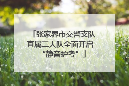 张家界市交警支队直属二大队全面开启“静音护考”