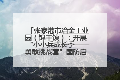 张家港市冶金工业园（锦丰镇）：开展“小小兵成长季——勇敢挑战营”国防启蒙教育活动