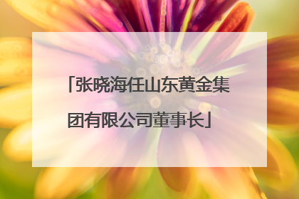 张晓海任山东黄金集团有限公司董事长