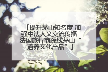 提升茅山知名度 加强中法人文交流传播 法国旅行商踩线茅山“道养文化产品”