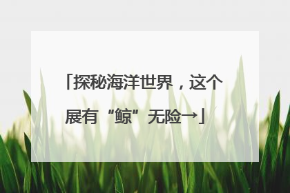 探秘海洋世界，这个展有“鲸”无险→