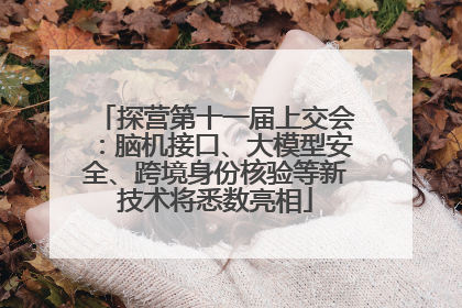 探营第十一届上交会：脑机接口、大模型安全、跨境身份核验等新技术将悉数亮相