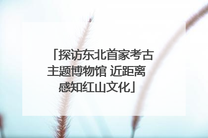 探访东北首家考古主题博物馆 近距离感知红山文化
