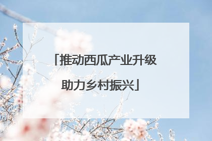 推动西瓜产业升级 助力乡村振兴