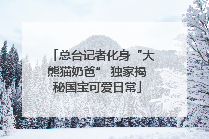 总台记者化身“大熊猫奶爸” 独家揭秘国宝可爱日常