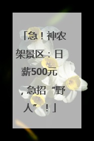 急！神农架景区：日薪500元，急招“野人”！