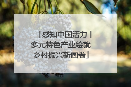 感知中国活力丨多元特色产业绘就乡村振兴新画卷
