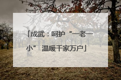 成武：呵护“一老一小” 温暖千家万户