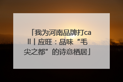 我为河南品牌打call丨应旺：品味“毛尖之都”的诗意栖居