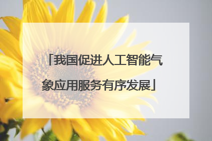 我国促进人工智能气象应用服务有序发展