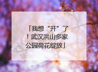 我想“开”了！武汉洪山多家公园荷花绽放
