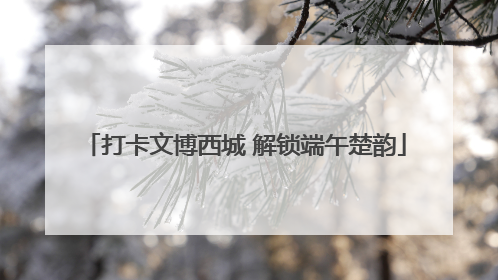 打卡文博西城 解锁端午楚韵