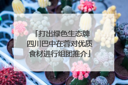 打出绿色生态牌 四川巴中在蓉对优质食材进行组团推介