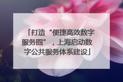 打造“便捷高效数字服务圈”，上海启动数字公共服务体系建设