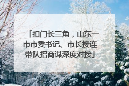 扣门长三角，山东一市市委书记、市长接连带队招商谋深度对接