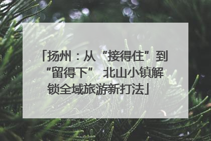 扬州：从“接得住”到“留得下” 北山小镇解锁全域旅游新打法