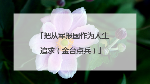 把从军报国作为人生追求（金台点兵）