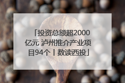 投资总额超2000亿元 泸州推介产业项目94个丨数读西投