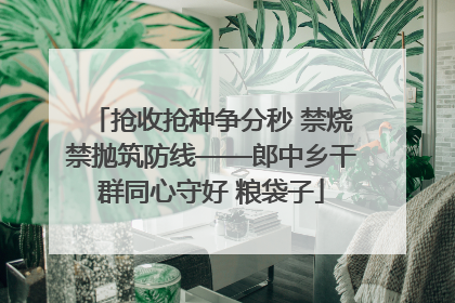 抢收抢种争分秒 禁烧禁抛筑防线——郎中乡干群同心守好 粮袋子