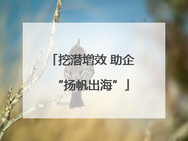 挖潜增效 助企“扬帆出海”
