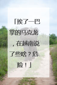挨了一巴掌的马克龙，在越南说了些啥？危险！