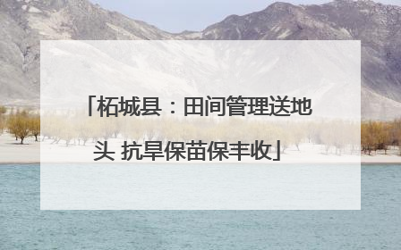 柘城县：田间管理送地头 抗旱保苗保丰收