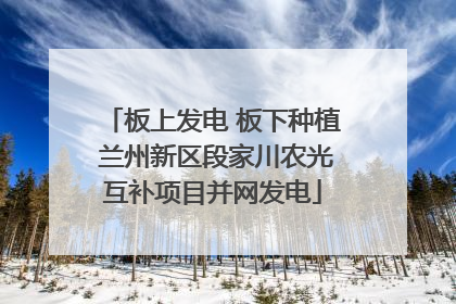 板上发电 板下种植 兰州新区段家川农光互补项目并网发电