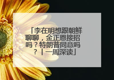 李在明想跟朝鲜聊聊，金正恩接招吗？特朗普同意吗？丨一周深读