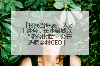 村民当评委、人才上讲台，长沙望城以“擂台比武” 公开选聘乡村CEO