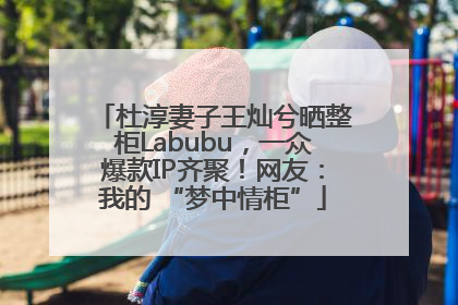 杜淳妻子王灿兮晒整柜Labubu，一众爆款IP齐聚！网友：我的 “梦中情柜”