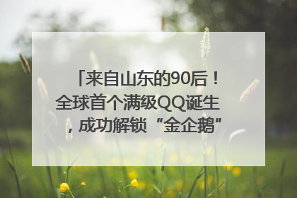 来自山东的90后！全球首个满级QQ诞生，成功解锁“金企鹅”，是继承父亲账号