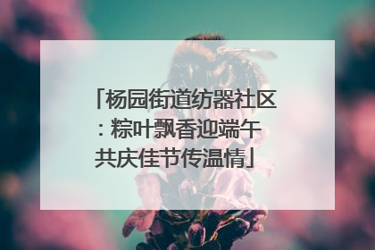 杨园街道纺器社区：粽叶飘香迎端午 共庆佳节传温情