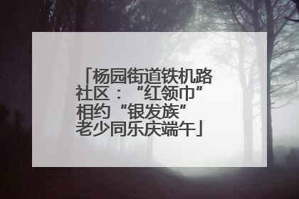 杨园街道铁机路社区：“红领巾”相约“银发族” 老少同乐庆端午