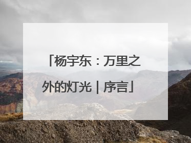 杨宇东：万里之外的灯光｜序言