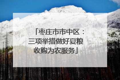 枣庄市市中区：三项举措做好夏粮收购为农服务